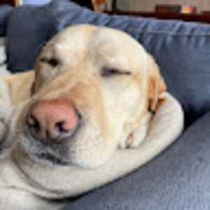 Meet your Posher, Norah